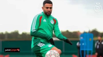 مواجهة قوية.. الجزائر تتحدى الكونغو الديمقراطية بكأس أمم أفريقيا 2025